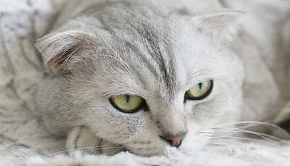 事情闹大了！美军航母被堵在南海入口，这一次，大陆要下猛药了！