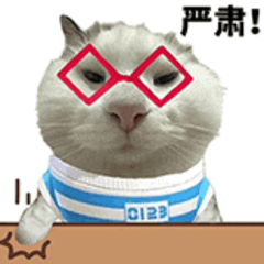 火光窜楼顶！居家这些防火细节别让老人 “栽跟头”