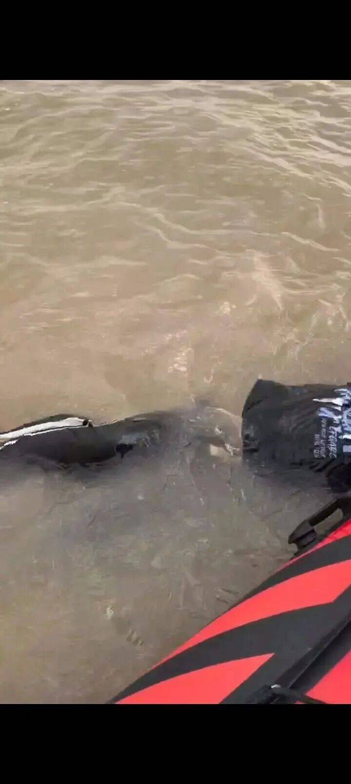 230斤重小伙酒后落水,漂浮7小时终获救……