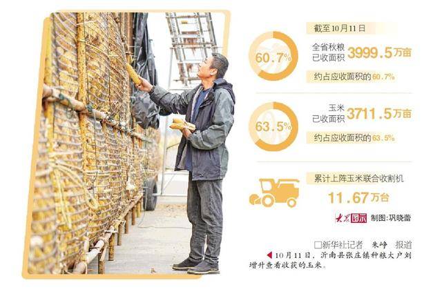 湿粮保卫战怎么打?昼夜不停机、厂房变晒场!