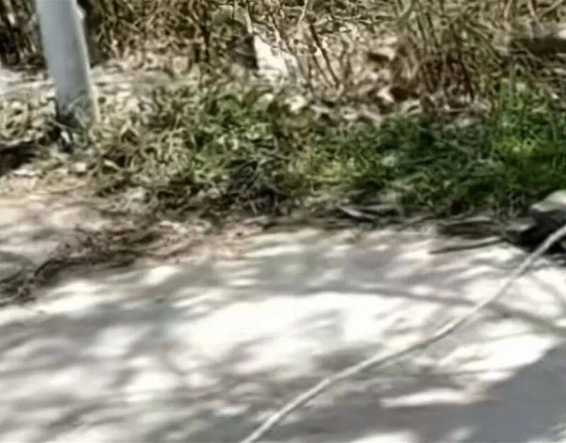 被绳子锁喉男孩赴京治疗后已脱离生命危险，当地调查：绳子系村民朱某雨（女，62岁）打玉米所拉，警方已对其采取刑事强制措施