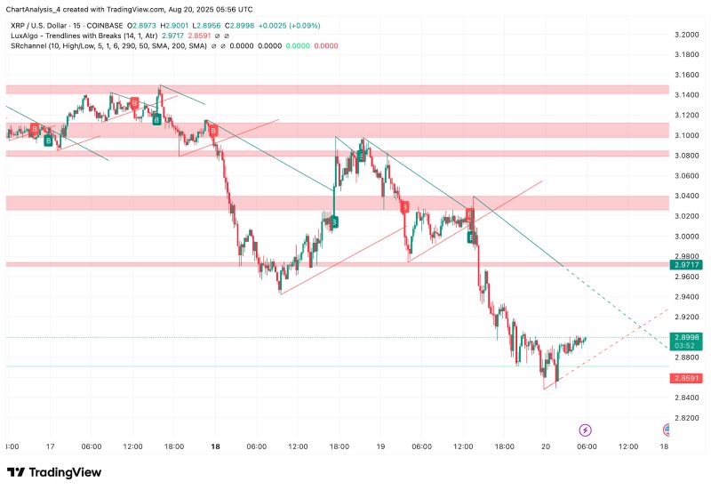 瑞波币今日单价情走势(瑞波币今天行情最新价格) 瑞波币今日单价情走势(瑞波币今天行情最新价格)