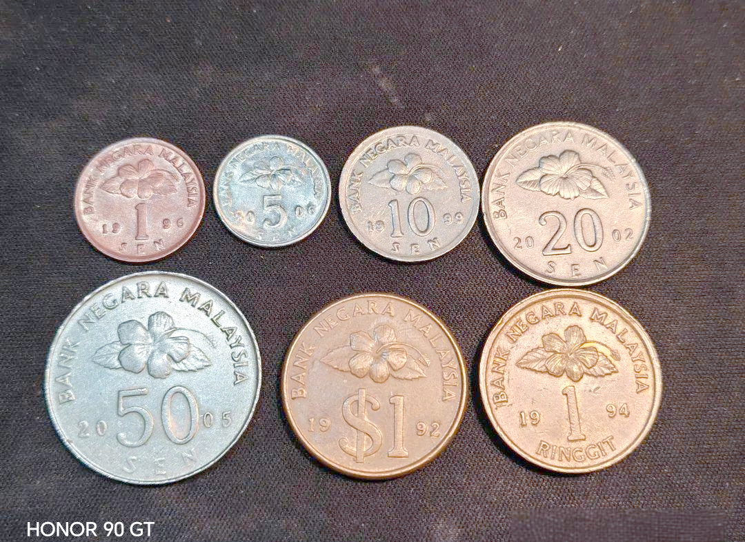 马来西亚货币叫什么(100马币 = 人民币)