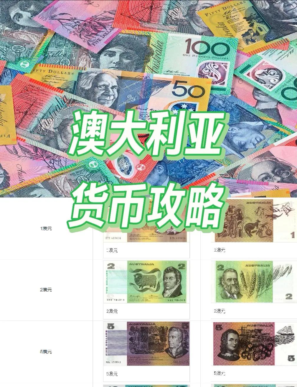 当地货币(当地货币是什么意思)